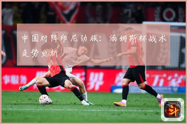 中国对阵印尼劲旅：汤姆斯杯战术走势分析
