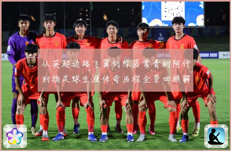 从英超边路飞翼到绿茵常青树阿什利扬足球生涯传奇历程全景回顾解析