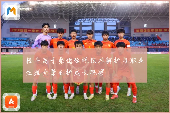 格斗高手桑德哈根技术解析与职业生涯全景剖析成长观察