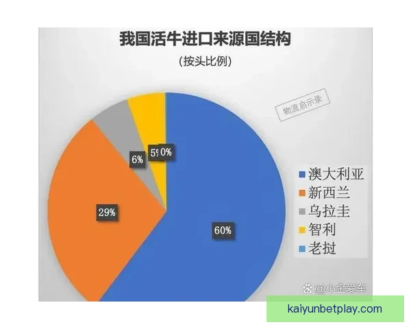 世界杯竞猜赔率波动背后的趋势与赛前预测解析